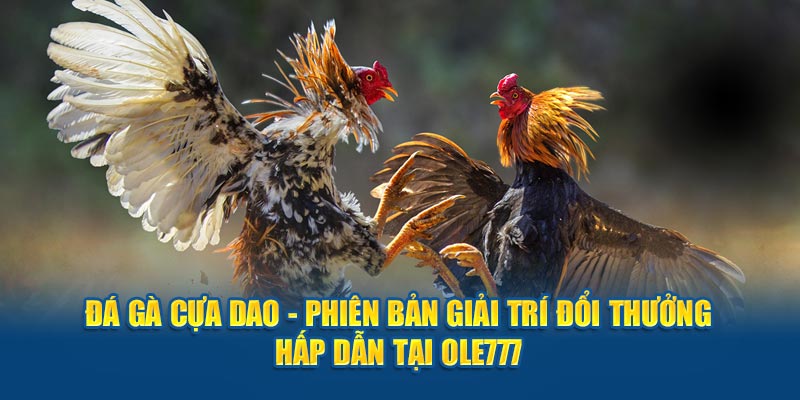 Đá Gà Cựa Dao