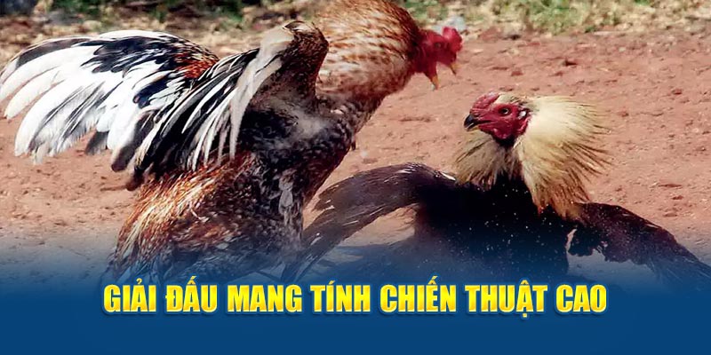 Giải đấu mang tính chiến thuật cao 