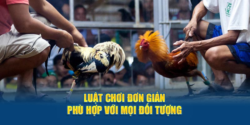 Luật chơi được thiết kế đơn giản - Cam kết phù hợp với mọi đối tượng