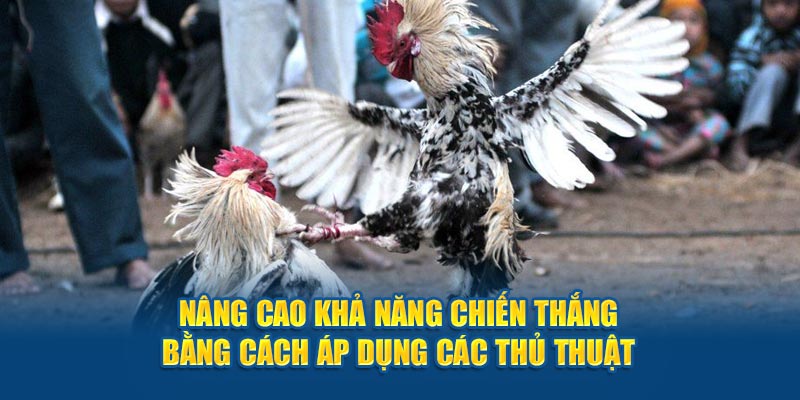 Nâng cao tỷ lệ nhận thưởng bằng cách áp dụng các mẹo