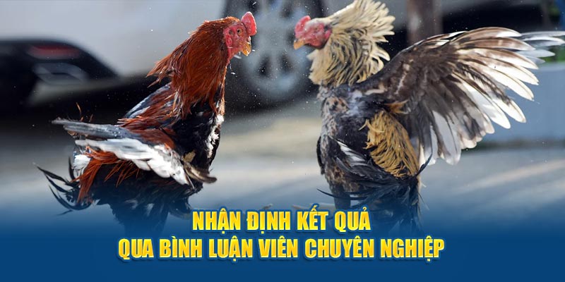 Nhận định kết quả qua bình luận viên chuyên nghiệp 