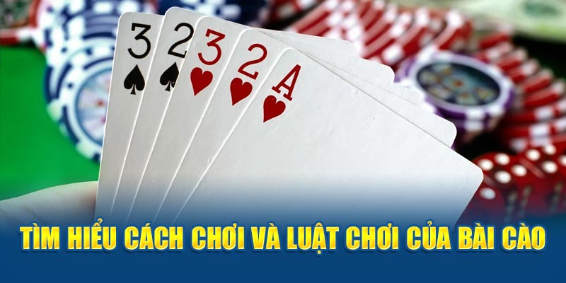 Tìm hiểu cách chơi và luật chơi của bài cào