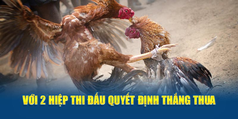 Với 2 hiệp thi đấu quyết định thắng thua 